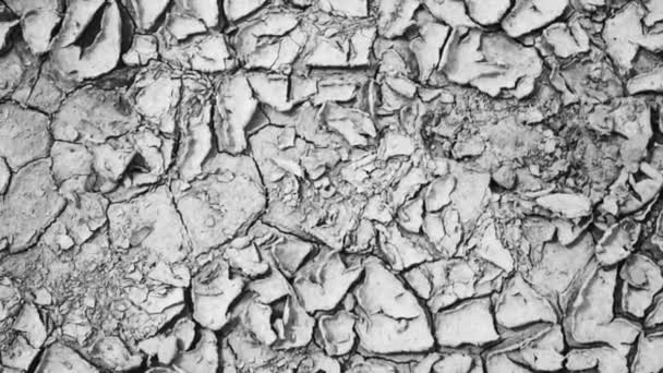 シームレスな土壌表面/シームレス土壌表面。亀裂 - スローモーションのビデオが付いている地面のテクスチャ - 映像、動画