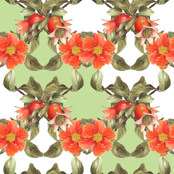 Watercolor Pomegranate blossom and fruit seamless pattern on white and green background. - Foto, afbeelding