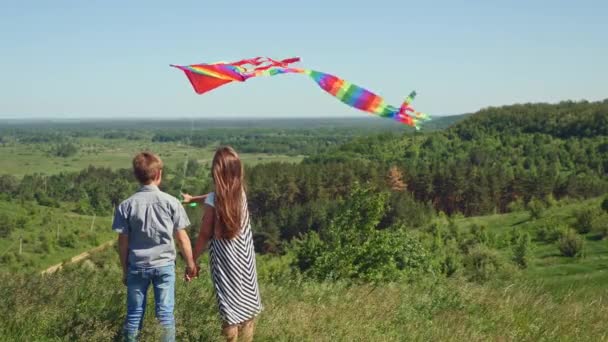Kleine jongen en meisje houdt van een vliegende kite - Video