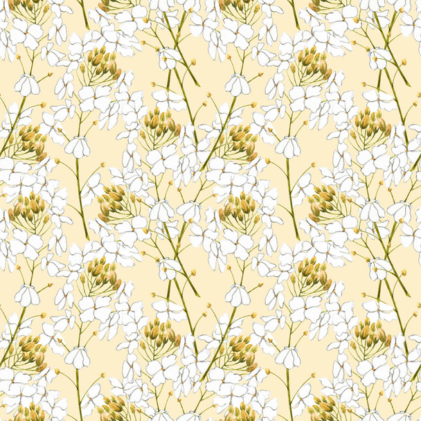 Watercolor horseradish flowers. Seamless pattern. Botanical illustration of organic, eco plant. Illustration For Food Design. - Foto, Imagen