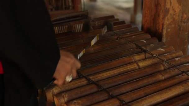 Asian Indonesian Balinese musician gamelan instrument. Closeup hands playing. Not edited, raw file. - Footage, Video