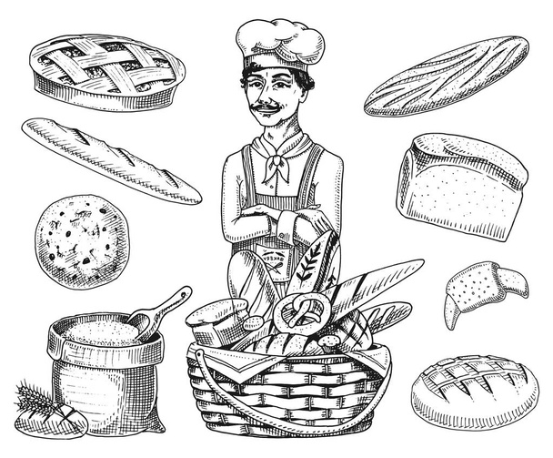 Kulináris főnök, tűzhely chef, kötény baker. Zsák liszt, vagy a kosár. Vésett kézzel rajzolt vázlat régi vintage stílusban a címke és a menü. pékség bolt belsejében. bioélelmiszerek kenyér kenyér tészta. - Vektor, kép