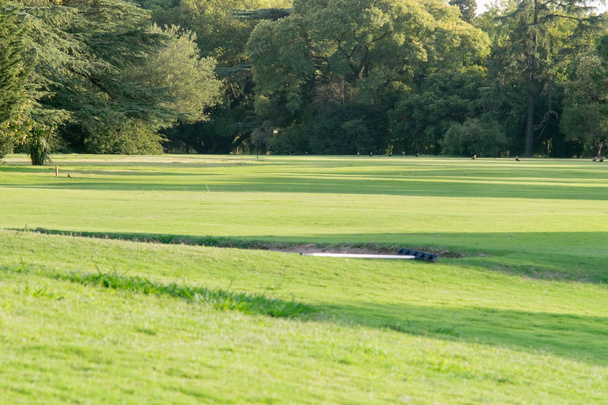  Zielona trawa w piękne pole golfowe  - Zdjęcie, obraz