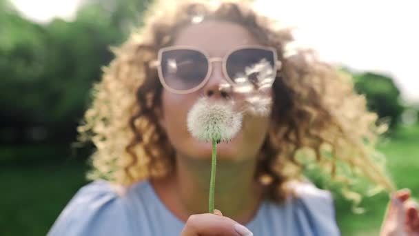 Güneş gözlükleri çekici kadın karahindiba darbeler ve rüzgarla uçup, güzel kinky kız dandelions yaz güneşli bir günde yeşil Park'ta dinlenme Rüzgar uçurdu - Video, Çekim