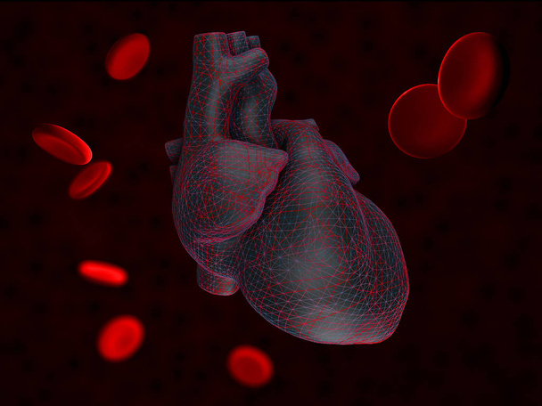 3d Иллюстрация анатомии человеческого сердца с клетками крови, выделенными на черном
. - Фото, изображение