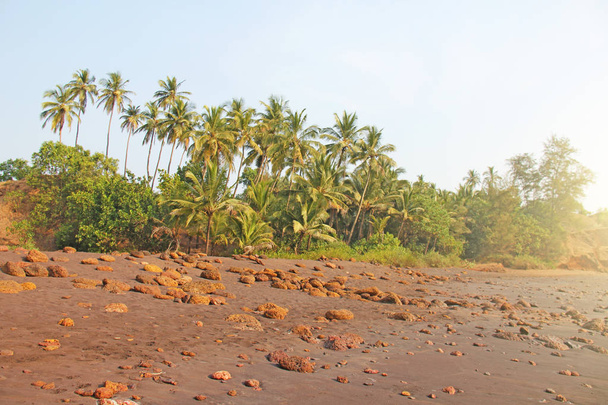 Siyah kum ve palmiye ağaçları ile plaj. Koyu kahverengi volkanik kum ve Hindistan, Goa plaj. Sahilde büyük yuvarlak taş. - Fotoğraf, Görsel