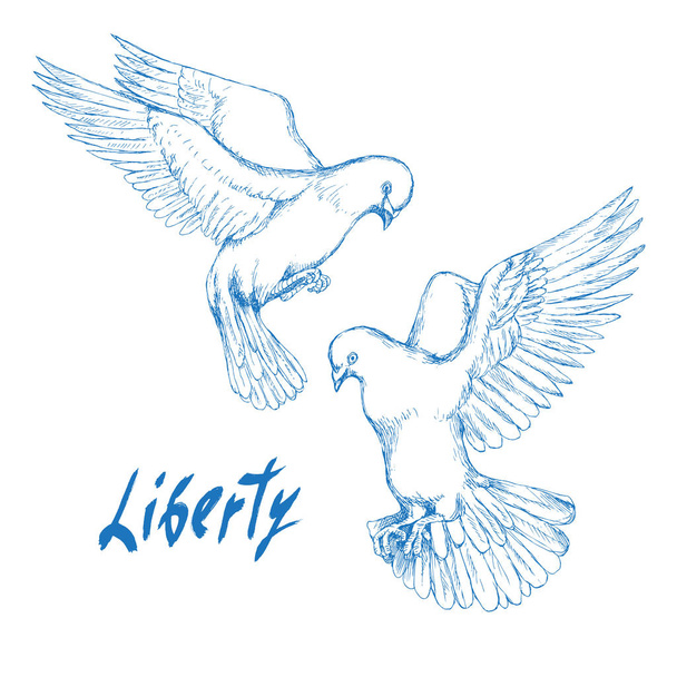 The freedom of hand lettering. Two white dove flying towards.  Freedom and liberation day. Hand-drawn silhouette drawing in sketch style. - Vector, Image
