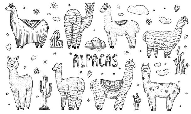 Set di simpatici lama di Alpaca o guanaco selvatico sullo sfondo di Cactus e montagna. Divertenti animali sorridenti in Perù per biglietti, manifesti, inviti, magliette. Elementi disegnati a mano. Schizzo inciso
. - Vettoriali, immagini