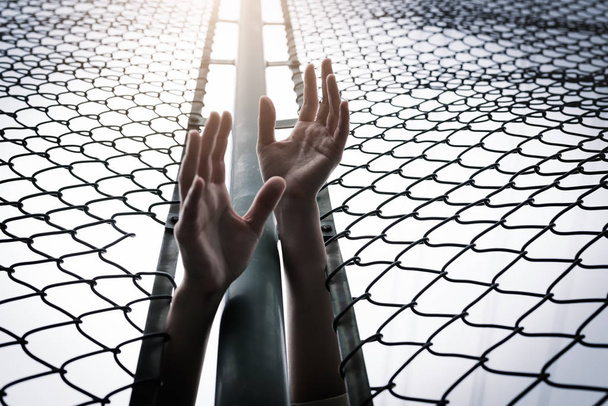 Depresso, problemi, aiuto e possibilità. Le donne senza speranza alzano la mano sulla recinzione a catena chiedono aiuto
 - Foto, immagini