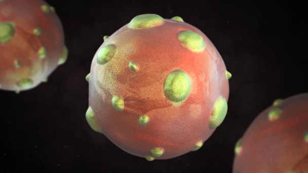3D illustratie van hantavirus virus - Foto, afbeelding