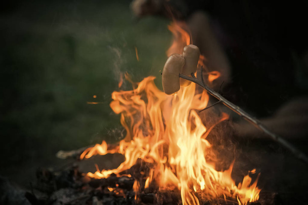 Embutidos en palo asado en llama de hoguera en el entorno natural
 - Foto, Imagen