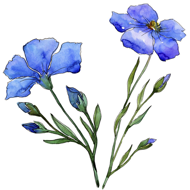 Kék len. Virágos botanikai virág. Vad tavaszi levél vadvirág elszigetelt. A háttér textúra, burkoló minta, keret vagy határ Aquarelle vadvirág. - Fotó, kép