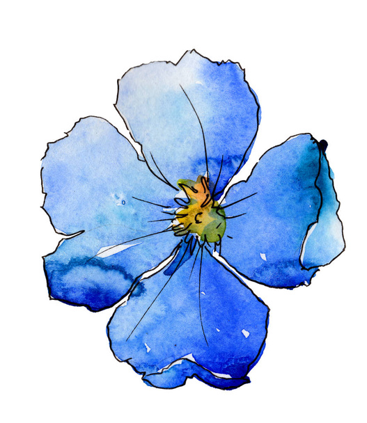 Blue flax. Floral botanical flower. Wild spring leaf wildflower isolated. Aquarelle wildflower for background, texture, wrapper pattern, frame or border. - Fotografie, Obrázek