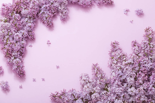 beautiful lilak on paper background - Valokuva, kuva