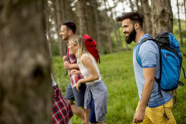 Група молодих людей ходить в гори на весняний день
 - Фото, зображення