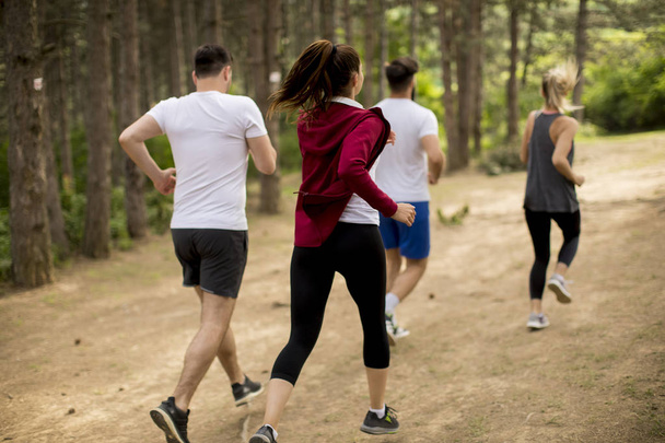 Ryhmä nuoria juoksee maratonin metsän halki.
 - Valokuva, kuva