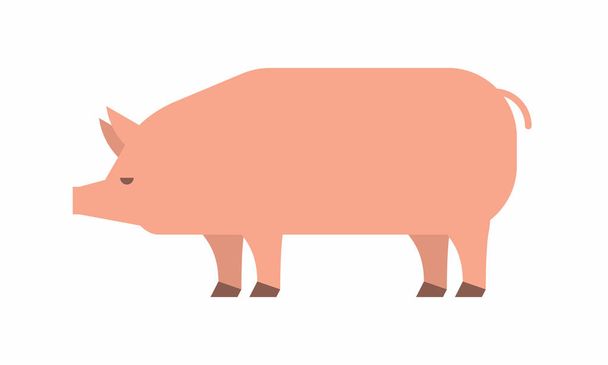 Schwein-Ikone. flachen Stil. isoliert auf weißem Hintergrund - Vektor, Bild