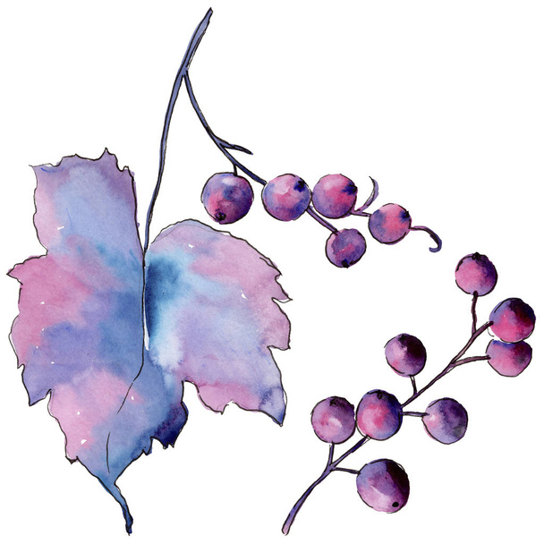 Leaves currant in a watercolor style isolated. Aquarelle leaf for background, texture, wrapper pattern, frame or border. - Foto, Imagem