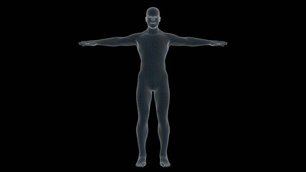 bir adam xray hologram 3D çizimi - Fotoğraf, Görsel