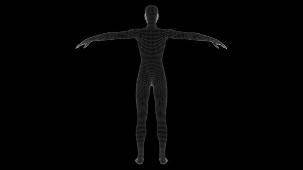 ilustração 3d de uma mulher holograma de raios X
 - Foto, Imagem