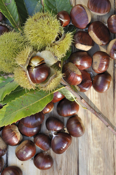 Vista superior de castañas dulces frescas en rama y otras en tabla
  - Foto, imagen