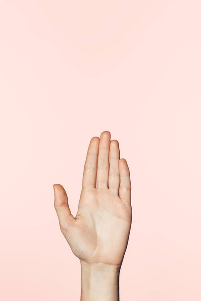 cropped image of female palm isolated on pink background  - Φωτογραφία, εικόνα