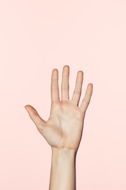 partial view of female hand isolated on pink background - Φωτογραφία, εικόνα