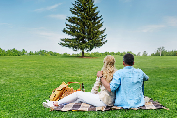 back view of couple sitting together on plaid at picnic - Φωτογραφία, εικόνα