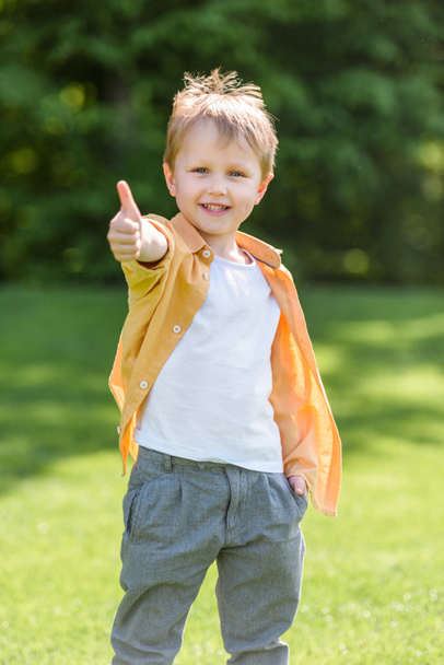 cute happy little boy showing thumb up and smiling at camera in park - Foto, Imagen
