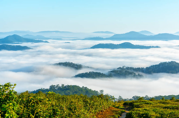 Táj reggel köd borított a völgyben, mint a felhők lebegő csodálatos idilli felföld Dalat, Vietnam - Fotó, kép