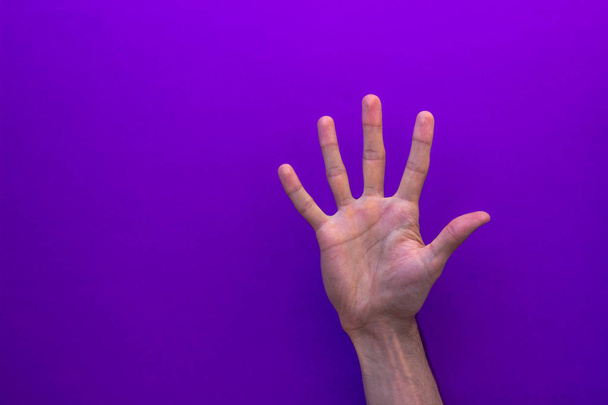 Set of counting hands isolated on nice paper purple background for blog or site left hand - Foto, immagini
