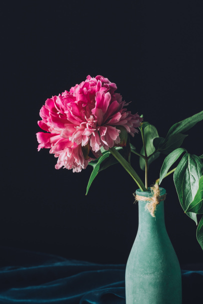 pink spring peony flower in vase on dark background - Foto, Imagem