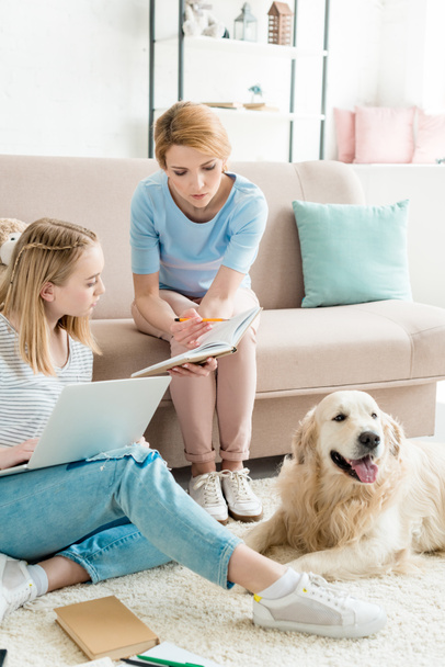 mother and teen daughter doing homework together while their golden retriever lying on floor - Photo, Image