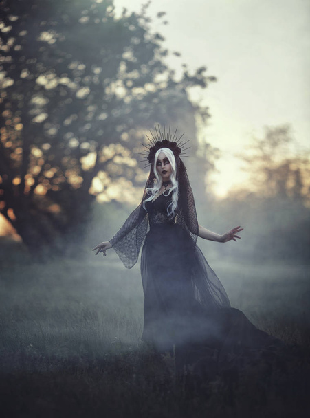 Une belle sorcière aux cheveux blancs dans une couronne et un voile noir, marche dans un brouillard. Style gothick. La fille est une princesse noire dans une robe gothique noire. Le fond est une forêt sombre, arbres nus
 . - Photo, image
