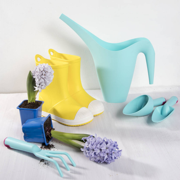 Yellow rubber boots and blue watering can with a bouquet of flowers of yellow daffodils and white and pink tulips on the white background. Garden accessories. - Φωτογραφία, εικόνα