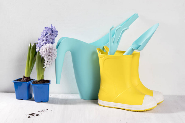 Yellow rubber boots and blue watering can with a bouquet of flowers of white and pink tulips on the white background. Garden accessories. - Fotografie, Obrázek