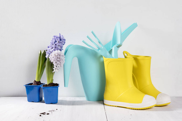Yellow rubber boots and blue watering can with a bouquet of flowers of white and pink tulips on the white background. Garden accessories. - Foto, Imagen