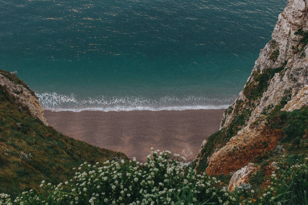 korkea kulma näkymä kauniille rannalle kukkia kalliolla etualalla, Etretat, Ranska
 - Valokuva, kuva