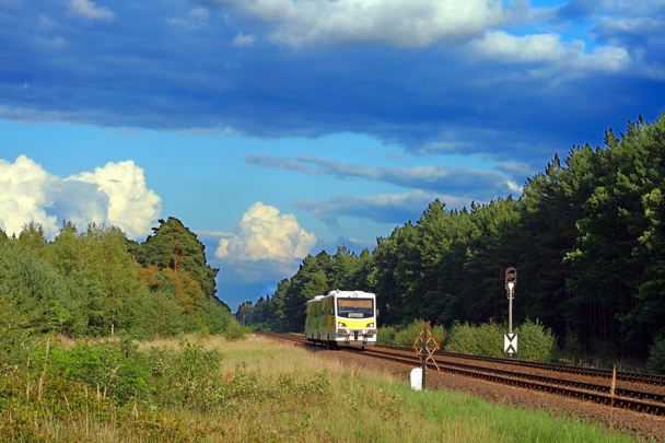 Ferroviário solitário passando pela floresta
 - Foto, Imagem