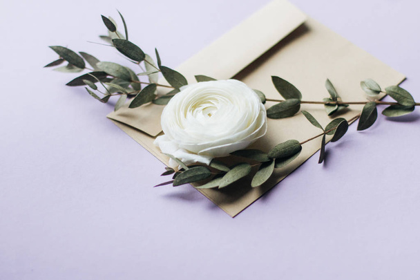 bela flor ranúnculo branco com galhos verdes no envelope
  - Foto, Imagem