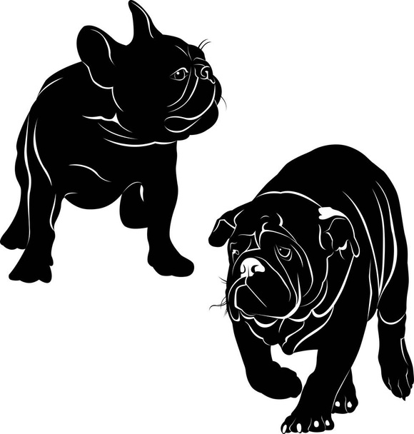 siluetit koirien ranskalainen bulldog
 - Vektori, kuva