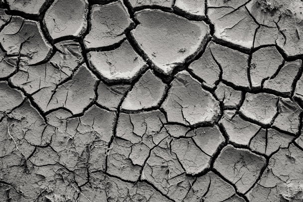 top view of cracked black dry ground, natural background - Photo, Image