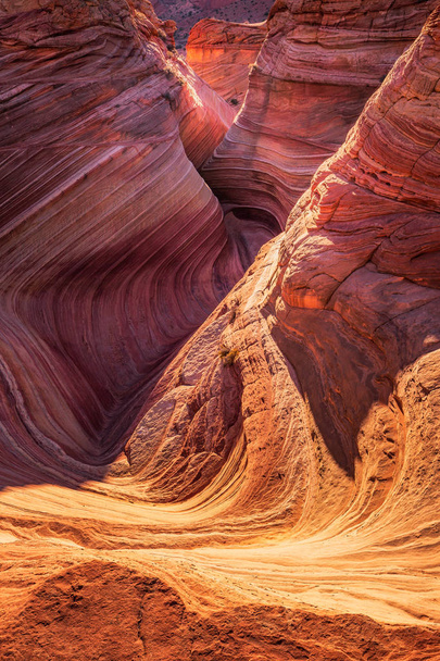 A Hullám, Arizona, Canyon Rock Formáció. Vermillion Cliffs, Paria Canyon Állami Park az Egyesült Államokban. - Fotó, kép