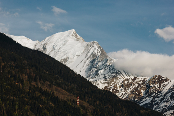 majestueuze besneeuwde toppen en groene vegetatie in prachtige bergen, mont blanc, Alpen - Foto, afbeelding