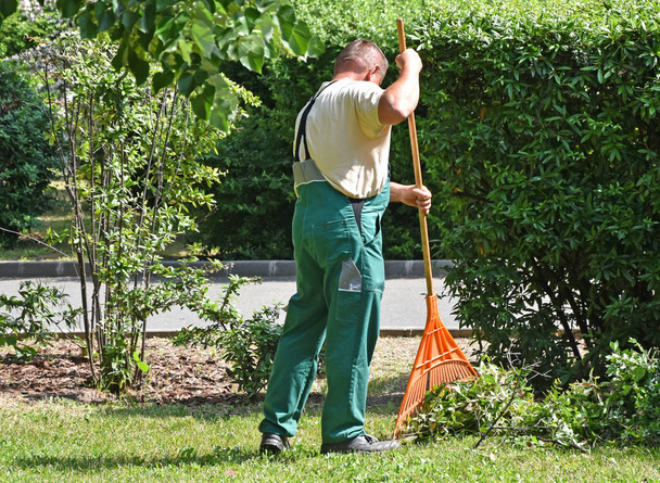 Kertész működik egy nagy villával a parkban - Fotó, kép