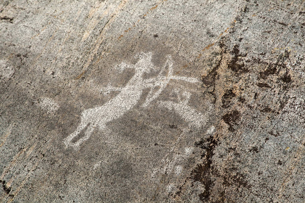 petroglyfy Karelie, v krajině Zalavruga  - Fotografie, Obrázek