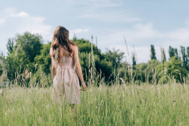back view of woman in stylish dress standing in meadow with blue sky on background - Zdjęcie, obraz