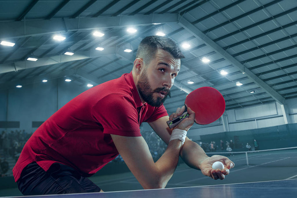 The table tennis player serving - Zdjęcie, obraz