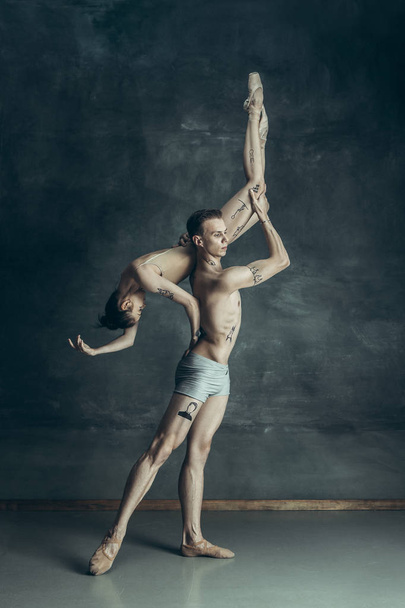 The young modern ballet dancers posing on gray studio background - Photo, image