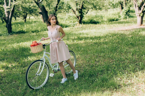 pretty young woman in dress holding retro bicycle with wicker basket full of ripe apples at countryside - Photo, Image